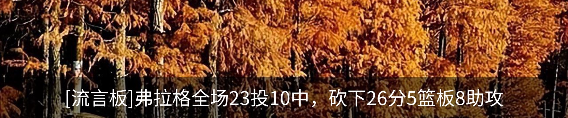 最新动态